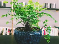 -Home Cafe(水榭春天店)