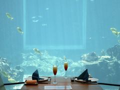 -海棠湾洲际-涛·海底餐厅·美人鱼·自助餐·海底隧道