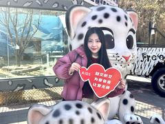 -青藏高原野生动物园