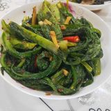 家常菜（木耳炒肉、豆豉油麦菜)）