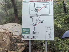 -大岭沟猕猴桃谷风景区