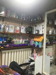 -雅典娜造型