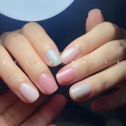-BELLAREAL新美社