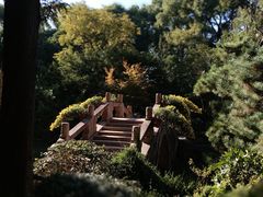 -上海醉白池公园
