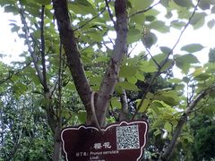 -解放人民公园
