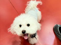 -和它·交个朋友·狗咖猫咖(爱琴海店)