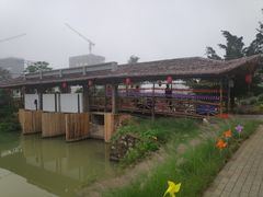 -江门古劳水乡旅游区