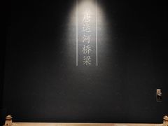 -隋唐大运河文化博物馆
