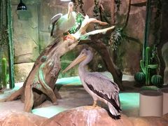 -zoonana室内动物园(东方福来德店)