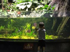 -江和美海洋公园