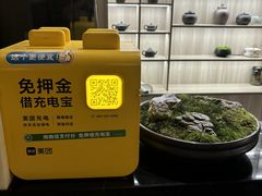 -耳湾躺式采耳SPA馆(保利五月花店)