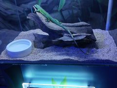 -梦幻海洋王国(吾悦广场张家港店)