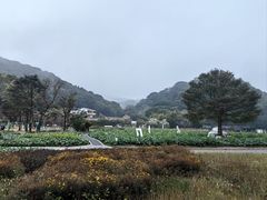 -广州市石门国家森林公园