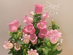 -双季花艺园艺市场(浦东店)