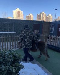 -萌宠亲子动物乐园(槐房万达店)