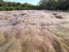 -华山御温泉度假村