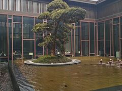 -上海崇明金茂凯悦酒店