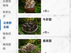 -金鹰国际购物中心(江都店)
