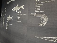 -中国湿地博物馆