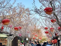 -回龙窝历史文化街区