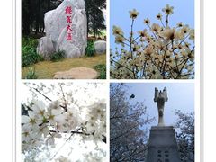 -武昌江滩