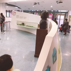 -上海市儿童医院(泸定路院区)