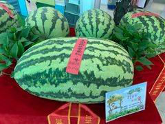 -西瓜小镇