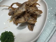 -金米箩大酒店(五角场店)