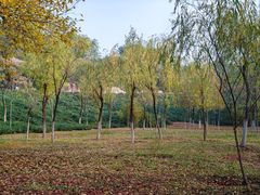 -滨河世纪广场公园