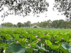 -长春市南湖公园