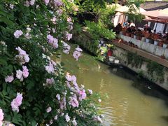 -惠山古镇·寄畅园