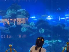 -成都浩海立方海洋公园