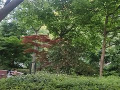 -兰溪青年公园