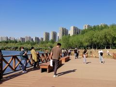 -丁香湖公园