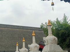 -西安市广仁寺