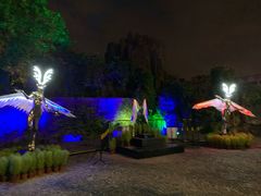 -锦江乐园舞狸花花游园会(夜场专享)