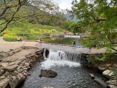 -广州市石门国家森林公园