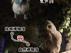 -大连自然博物馆
