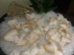 鲜海螺-官也街澳门火锅(新源里店)