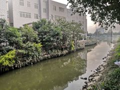 -黄埔古港