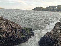 -棒棰岛宾馆景区