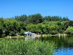 -长春市南湖公园