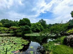 -杭州植物园