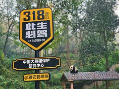 -中国大熊猫保护研究中心雅安碧峰峡基地
