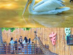 -济南野生动物世界