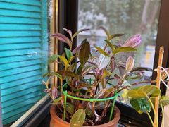 -19号私房菜(云南路店)