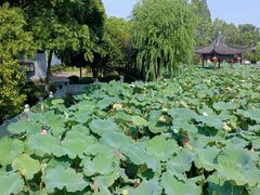 -丝绸小镇荻港古村