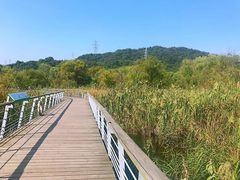 -西湖风景区-江洋畈生态公园