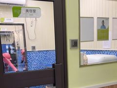 -瑞鹏宠物医院·宠保定点·心脏科·内科(御桥分院)