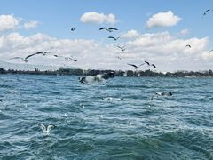 -海埂大坝